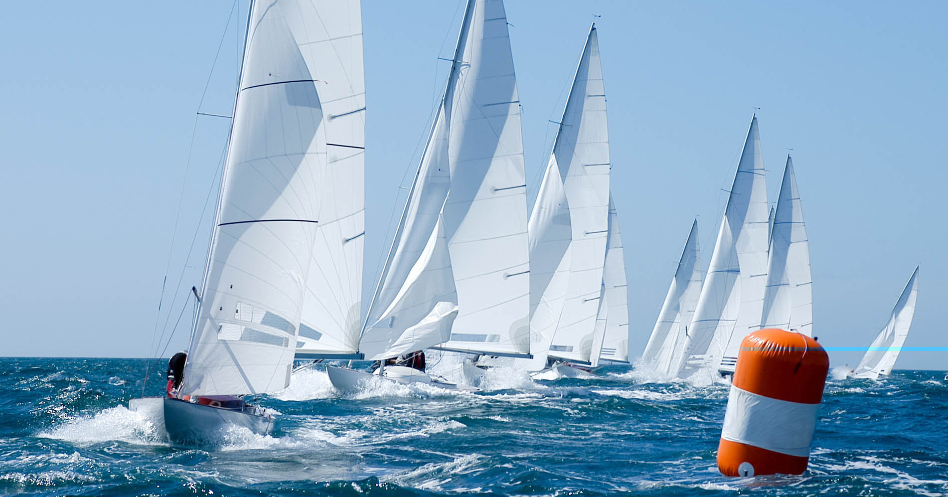 How World Champion Sailing Techniques Can Help Your Business Chart A Successful Course